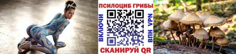 Галлюциногенные грибы ЛСД  Кодинск 